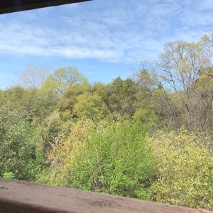 Meet your Posher, Archie